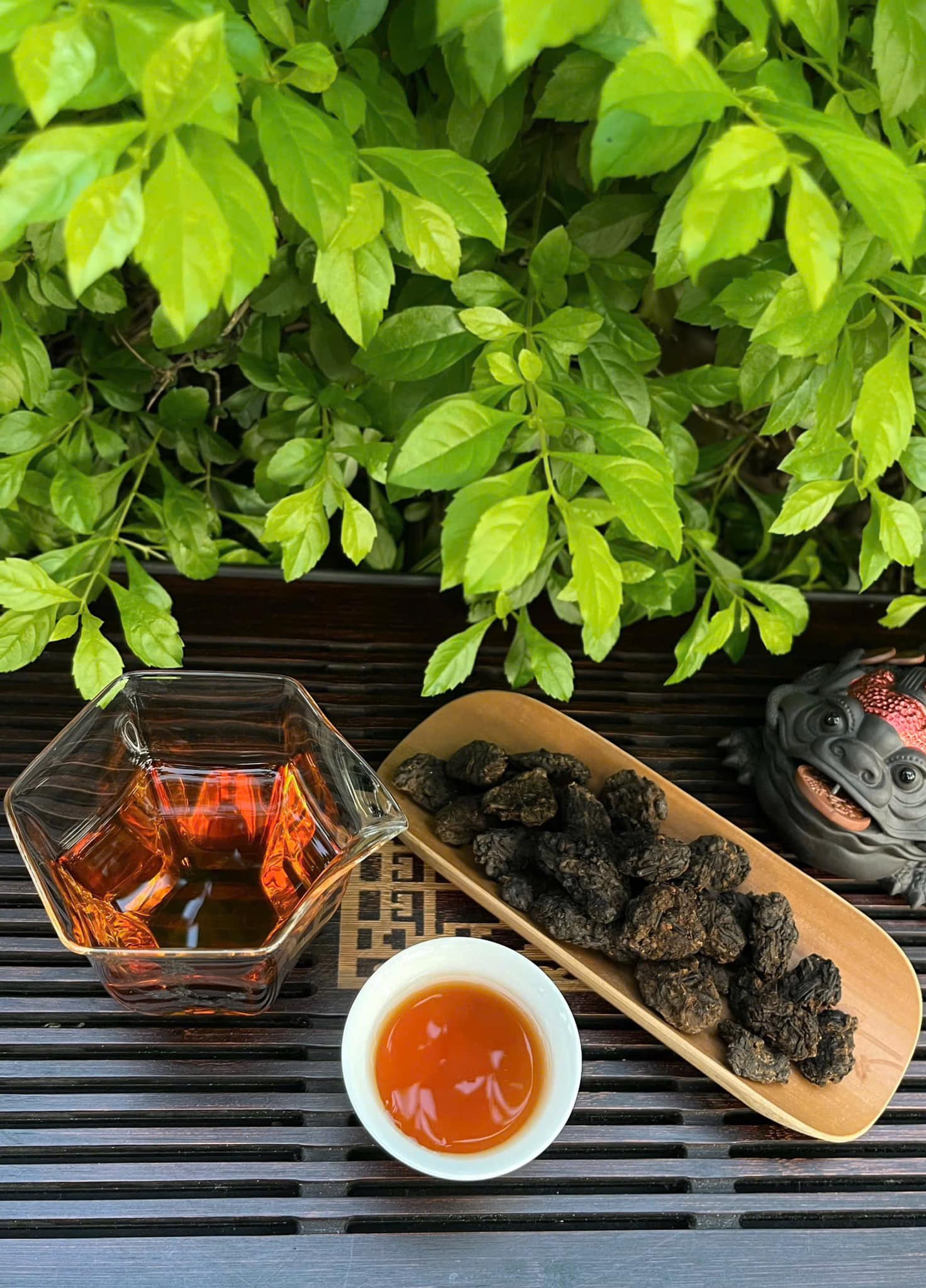 Lão Đầu Trà 2 Lao Dau Tra 2 1