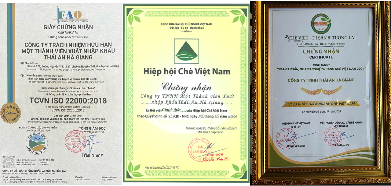 chung nhan thai an tra 2 1