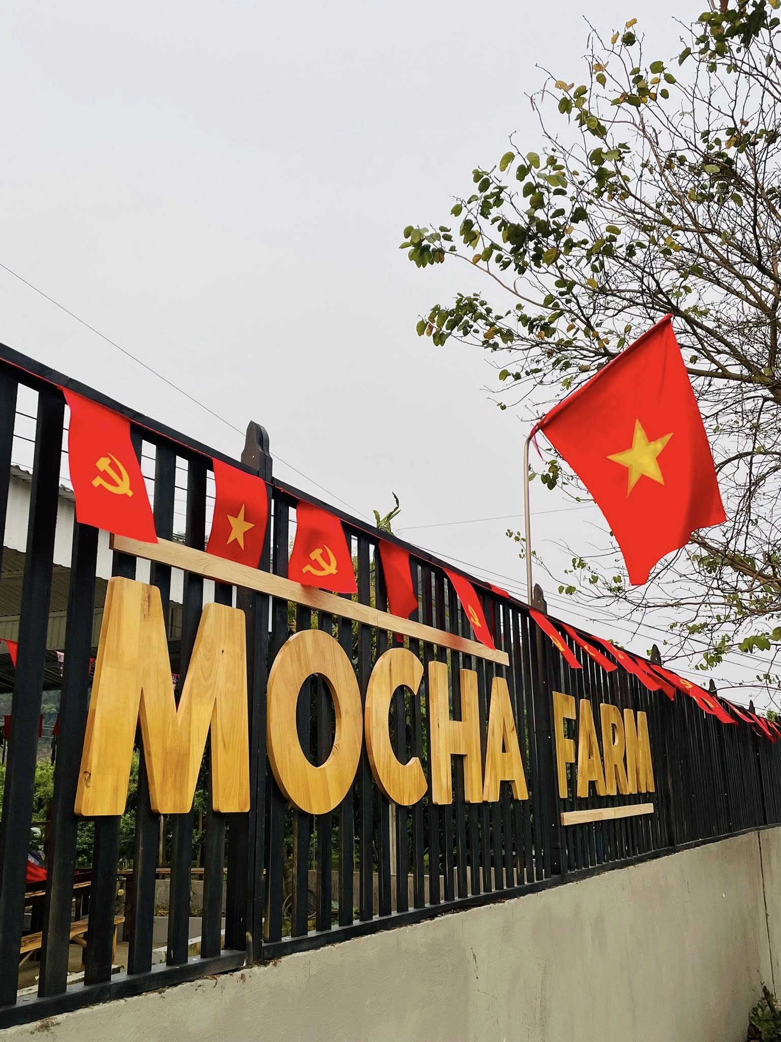 492008676 122126080148746005 2858868417527694776 n