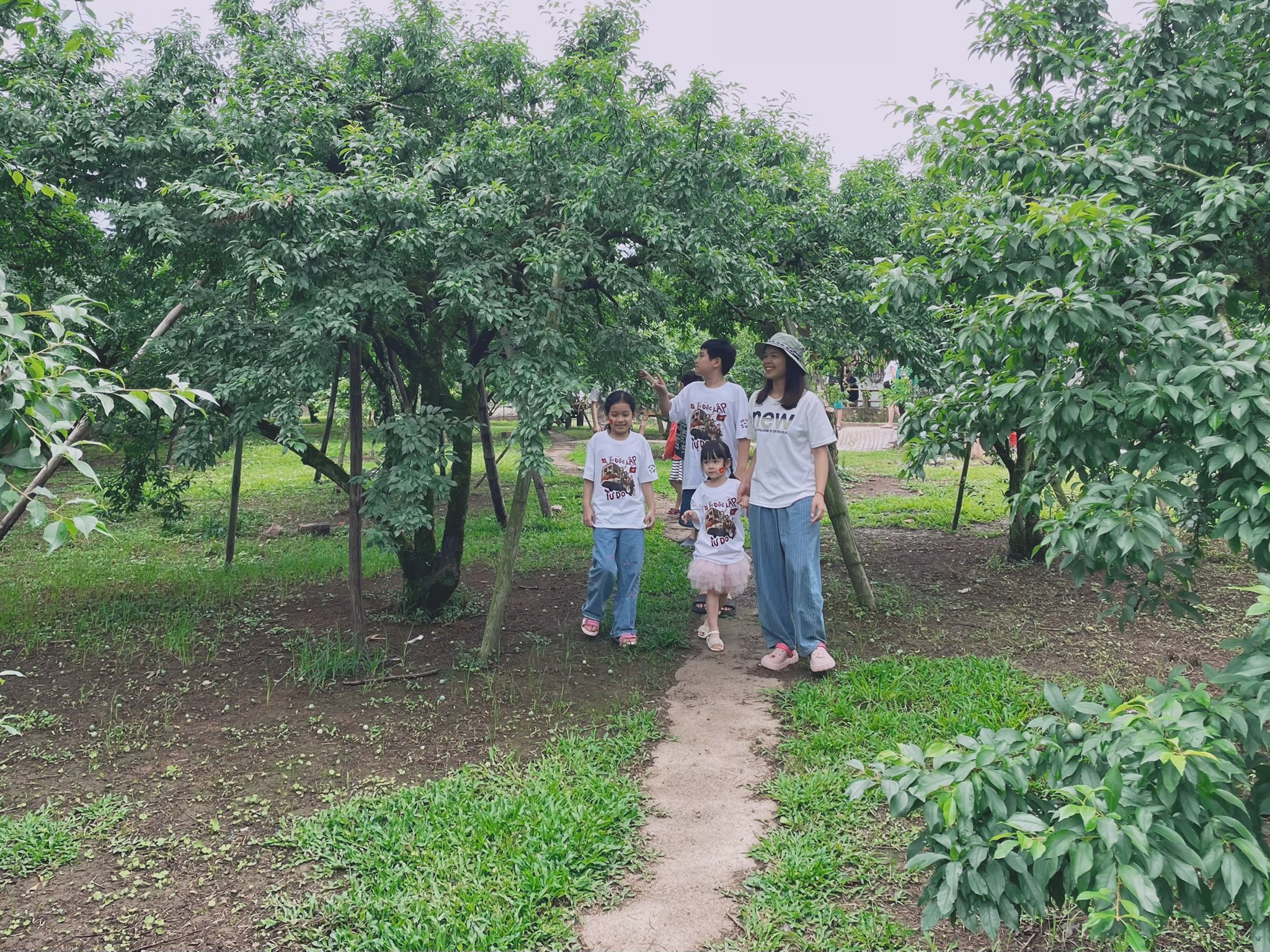 494125356 122126923532746005 7369947648864948297 n