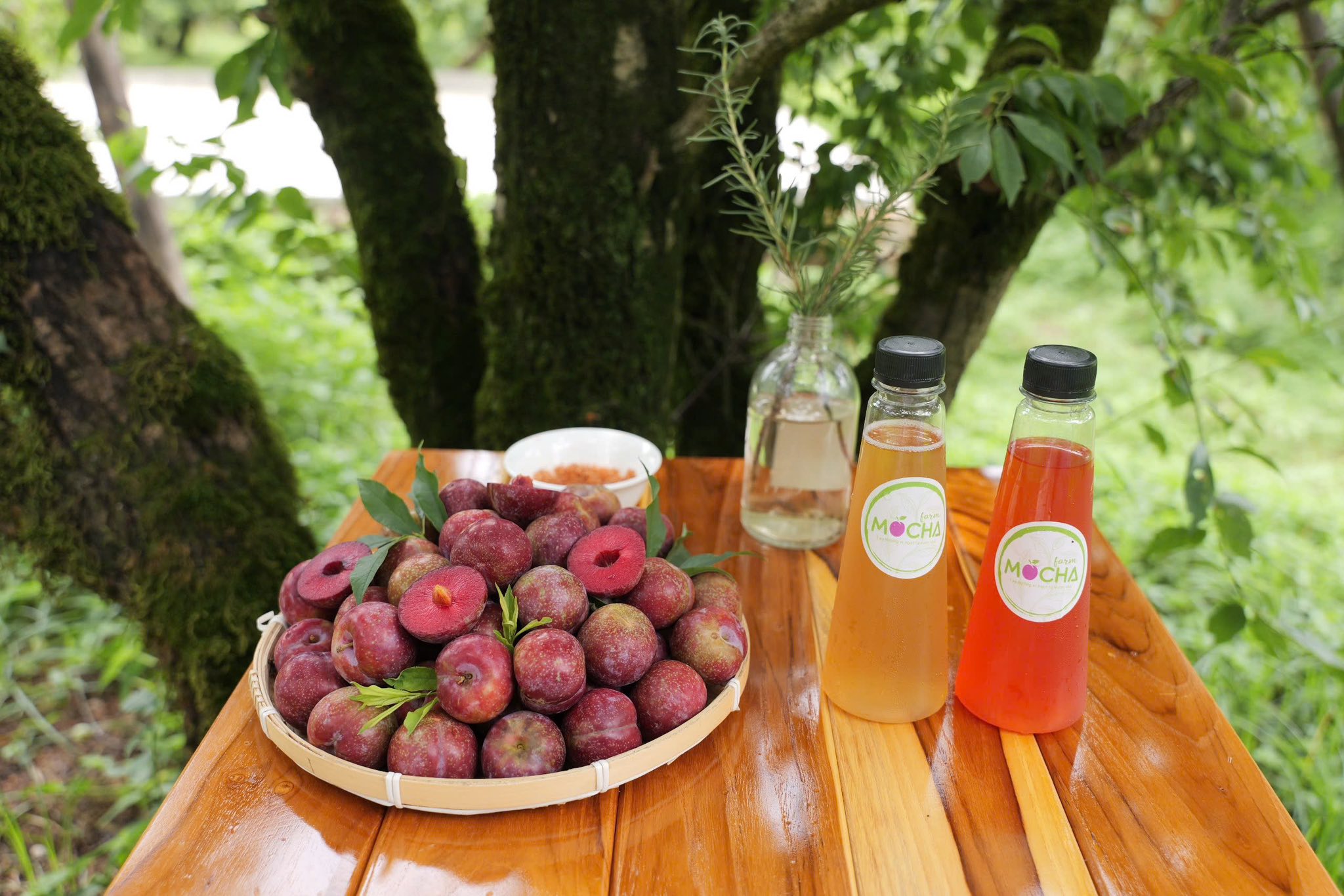 504427963 122133893096746005 8629960131657327857 n