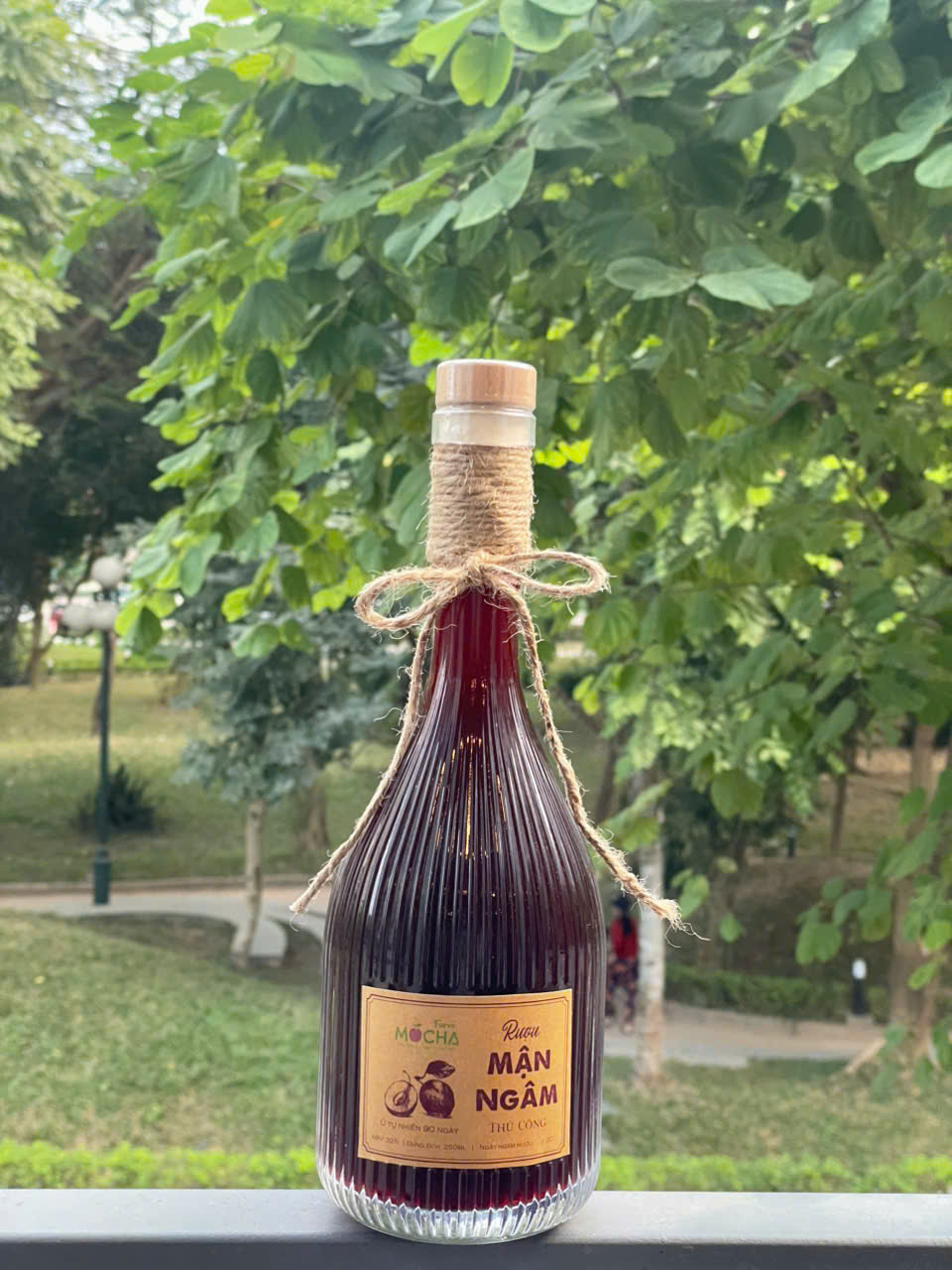 Rượi mận sấy Mộc Châu